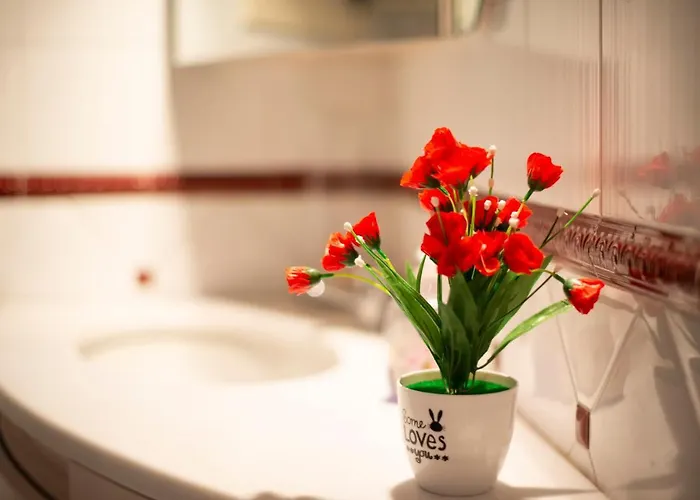 Gran Piazza Maggiore - T&t Communications