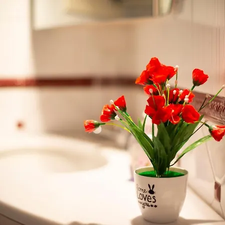 Gran Piazza Maggiore - T&t Communications